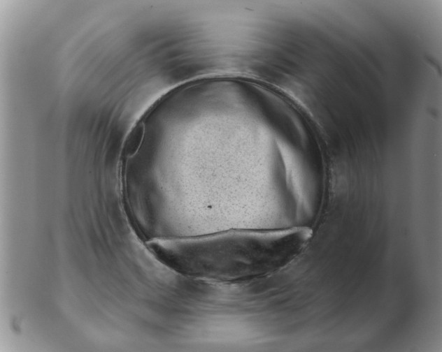 X0000103171468200809051711