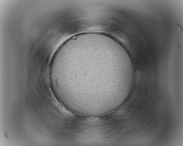 X0000103171470200809051711