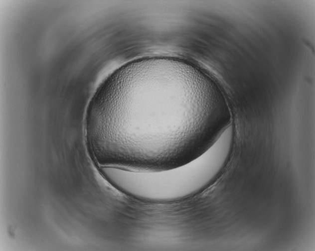 X0000103171471200809051711