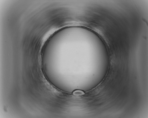 X0000103171472200809051711