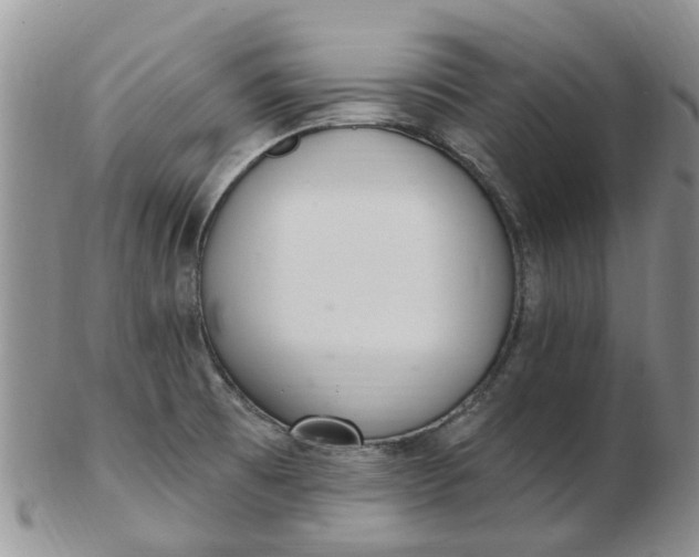 X0000103171473200809051711