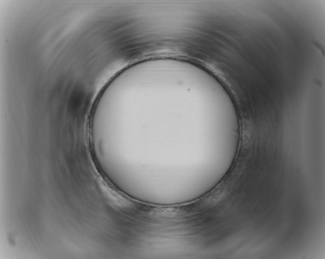 X0000103171474200809051711