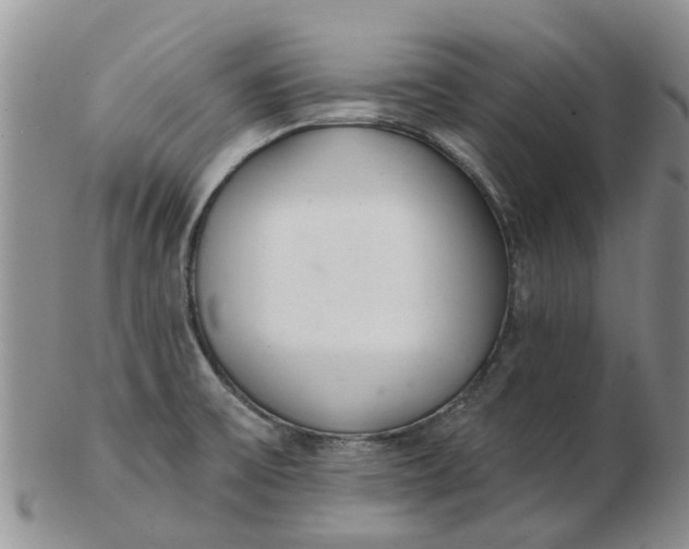 X0000103171475200809051711