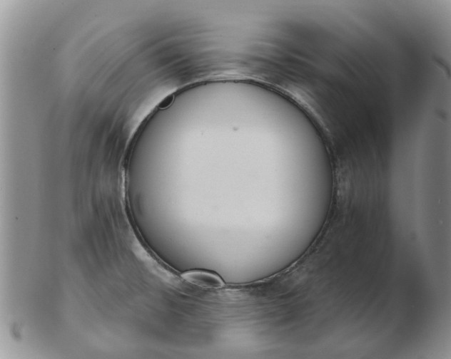 X0000103171476200809051711