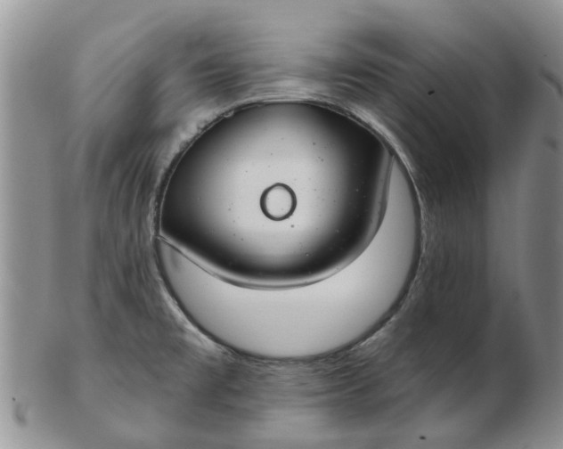 X0000103171477200809051711