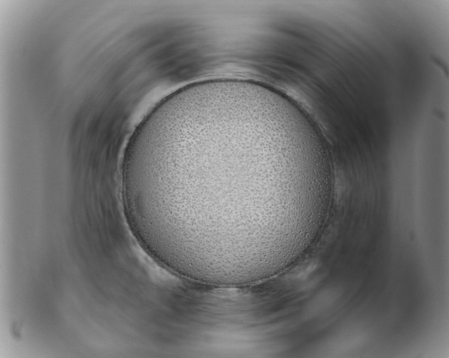 X0000103171478200809051711