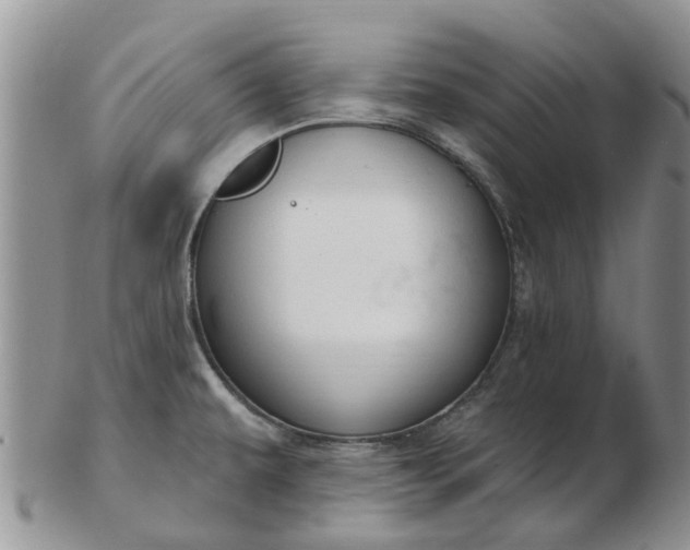 X0000103171479200809051711