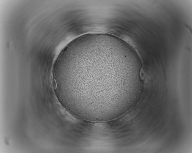 X0000103171480200809051711