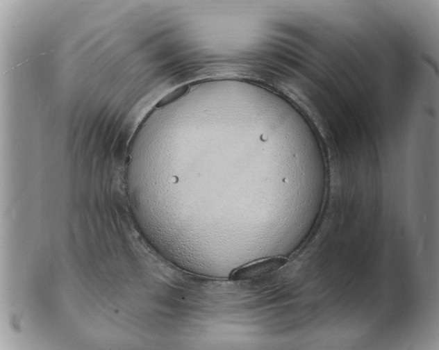 X0000103171481200809051711