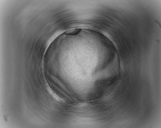 X0000103171482200809051711