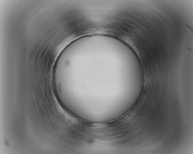 X0000103171483200809051711