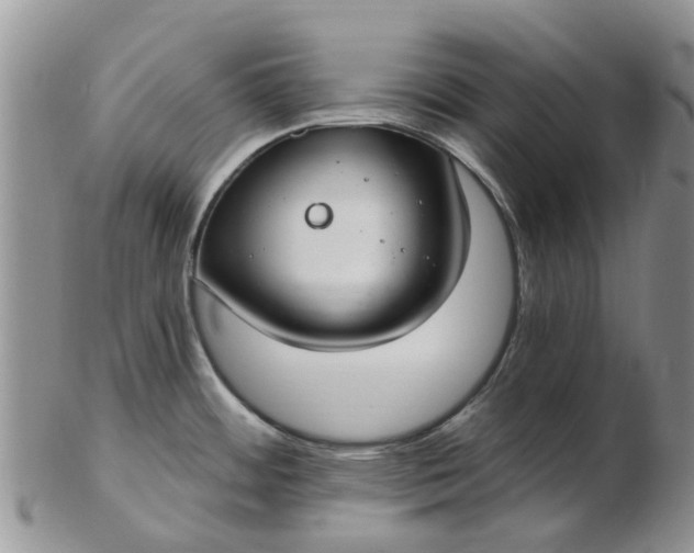 X0000103171484200809051711