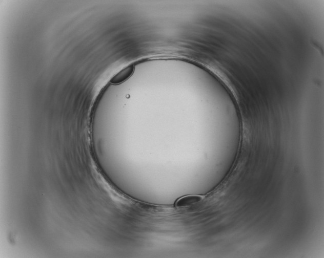 X0000103171485200809051711