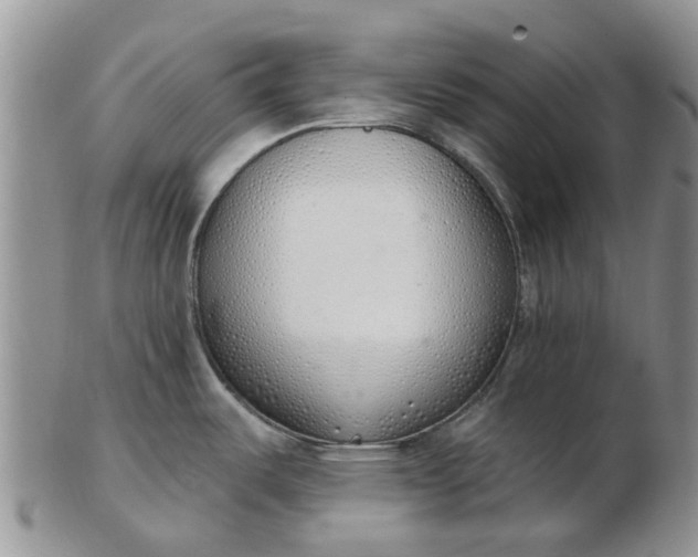 X0000103171487200809051711