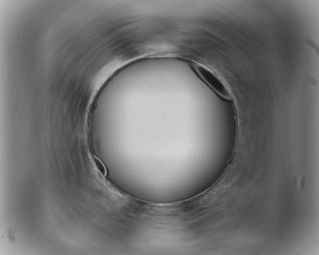 X0000103171488200809051711