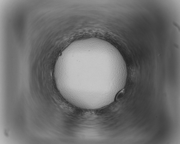 X0000103171489200809051710