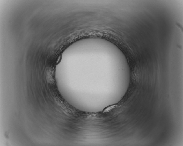 X0000103171490200809051710