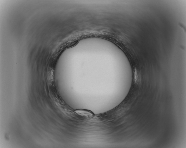 X0000103171492200809051710