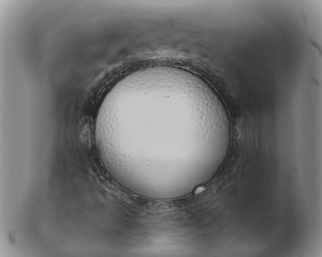 X0000103171493200809051710