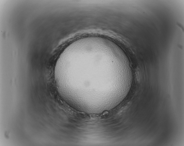 X0000103171494200809051710