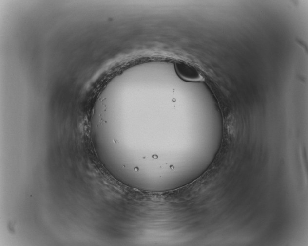 X0000103171495200809051710