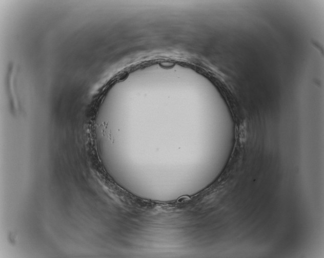 X0000103171496200809051710