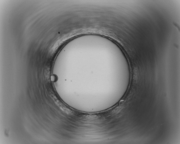 X0000103171499200809051710