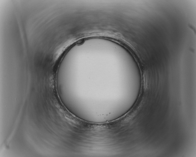 X0000103171501200809051710