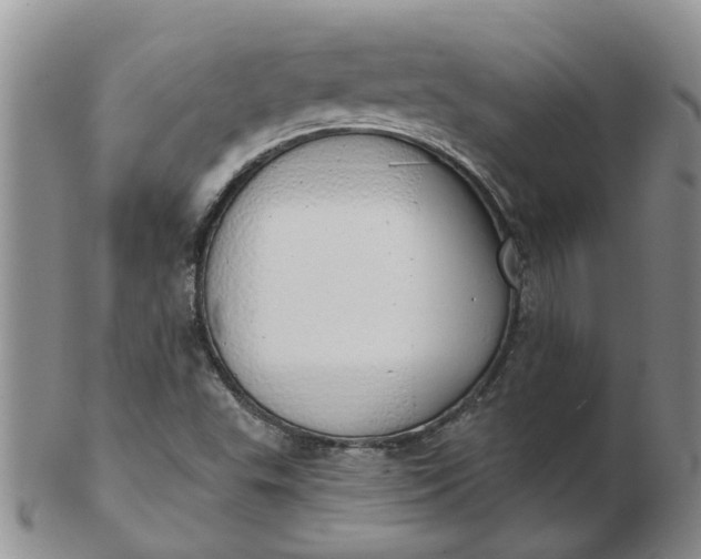 X0000103171503200809051710