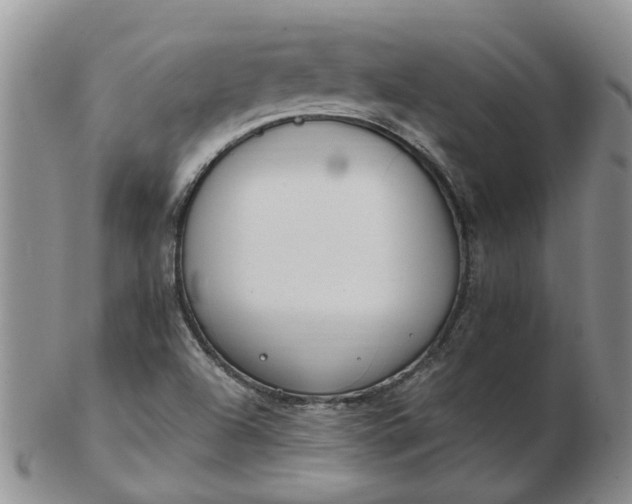 X0000103171504200809051710