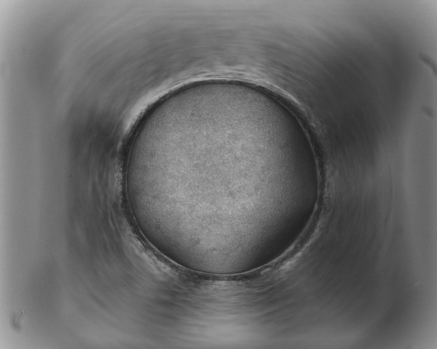 X0000103171506200809051710