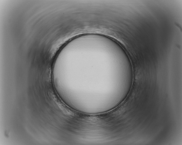 X0000103171507200809051710