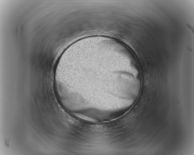 X0000103171508200809051710