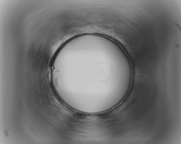 X0000103171509200809051710