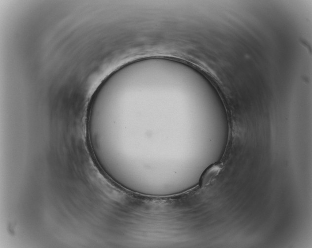 X0000103171512200809051710