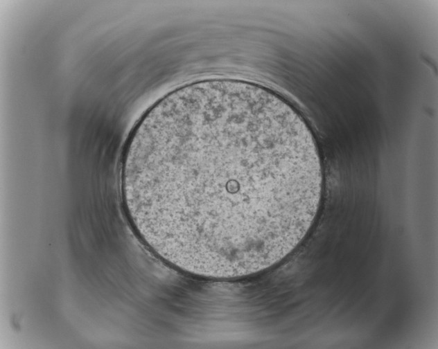 X0000103171514200809051710