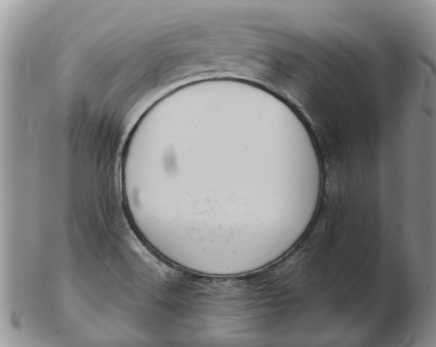 X0000103171516200809051710