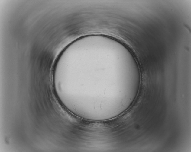 X0000103171517200809051710