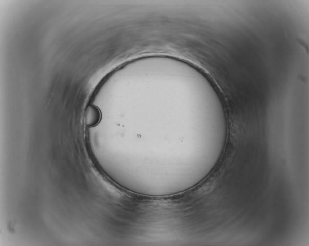 X0000103171519200809051710