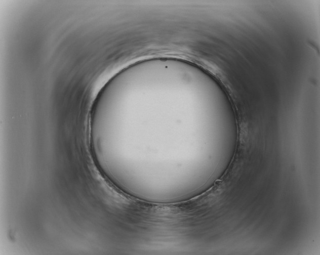 X0000103171520200809051710