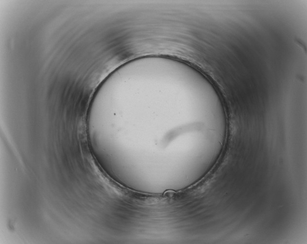 X0000103171521200809051710