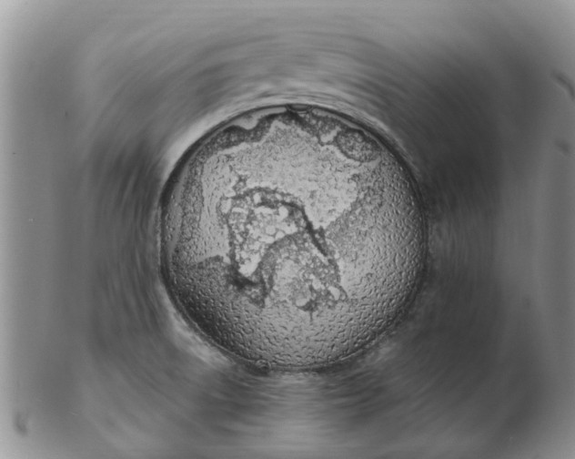 X0000103171522200809051710