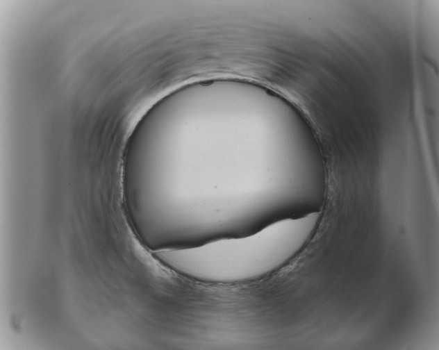 X0000103171524200809051710