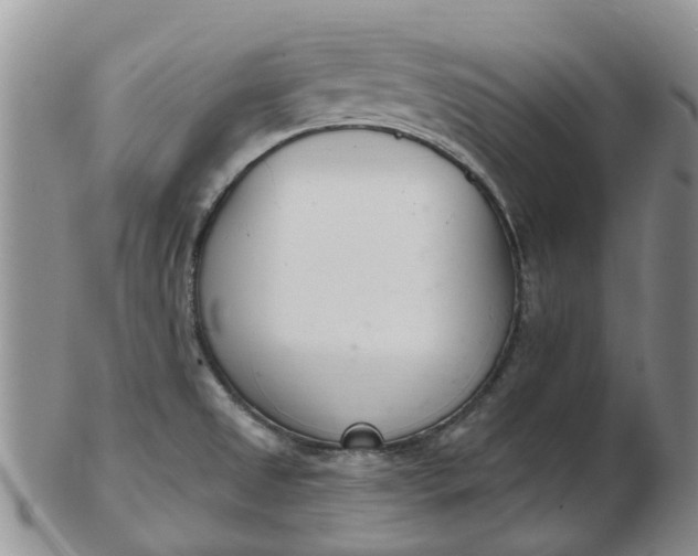 X0000103171525200809051710