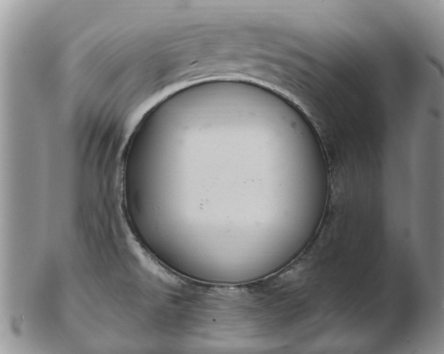 X0000103171526200809051710