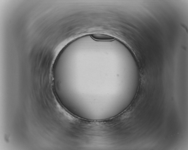 X0000103171527200809051710