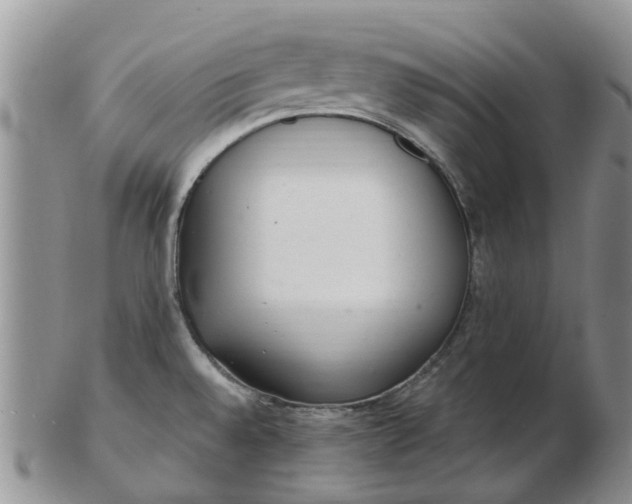 X0000103171528200809051710