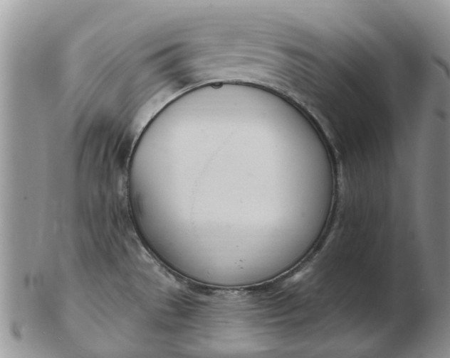 X0000103171529200809051710