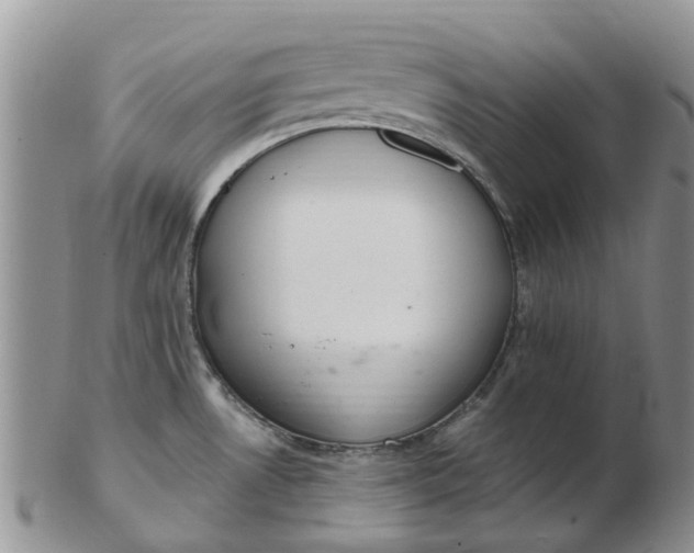 X0000103171530200809051711