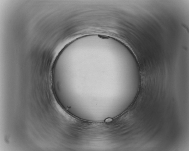 X0000103171531200809051711